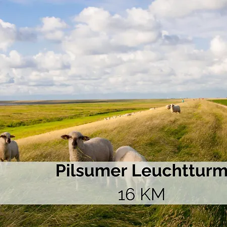 公寓 Huuske Bi De Kark *